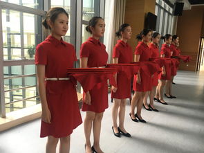 禮承師道，儀展風華——旅游系風尚禮儀社傾情服務(wù)全市第34個教師節(jié)座談會